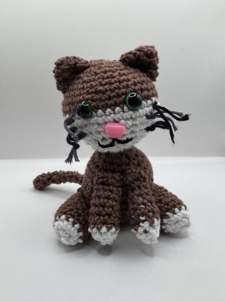 Petit chaton
